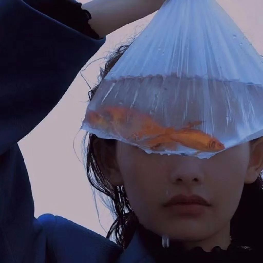 6686体育铜牌作者Bob